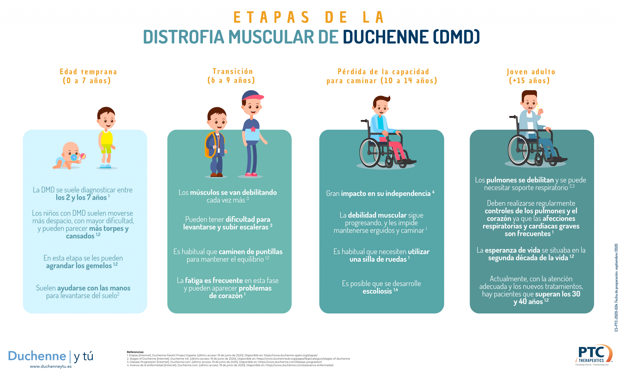 Etapas De La Distrofia Muscular De Duchenne